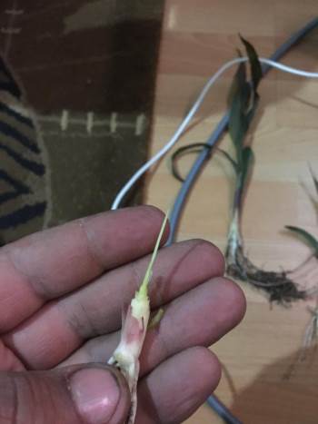 Öğretim Üyesi Üreticileri Uyardı
