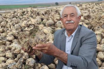 Öğretmendi, Öğretti
