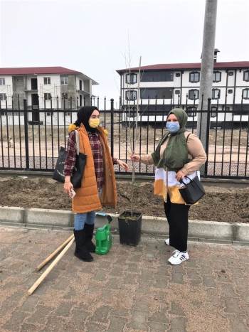 Okul Bahçesi Ağaçlandırıldı

