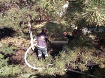 Okul Bahçesindeki Ağaçlık Alanda Çıkan Yangın Korkuttu
