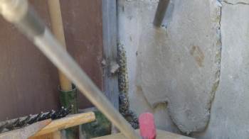 Okul Bahçesine Giren Yılan İtfaiye Ekiplerince Yakalandı
