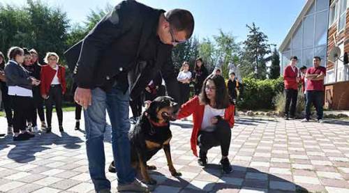 Öldü sandığı köpeğini böyle buldu