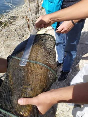 Olta Balıkçılarına Denetim
