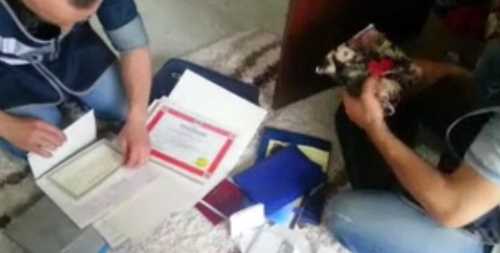 ÖLÜLERİ AMELİYAT ETMİŞLER VE!..