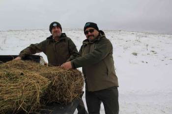 Olumsuz Hava Şartlarında Yaban Hayvanları Unutulmadı
