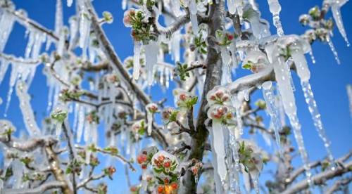 Omega zirai donu Eskişehir’i de vurdu!	