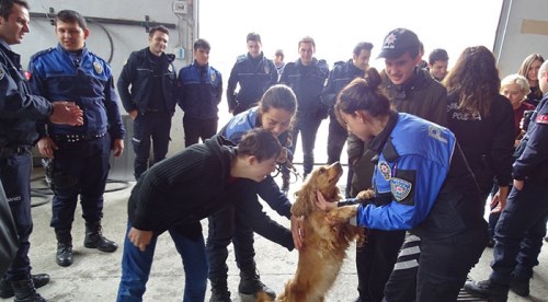 Onların hayali gerçek oldu