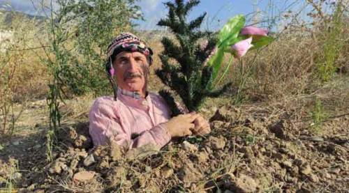 Onu bu halde gören, şaşkınlıktan küçük dilini yuttu!