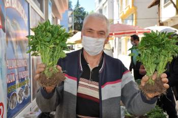 Organik Fide Pazarına Yoğun İlgi
