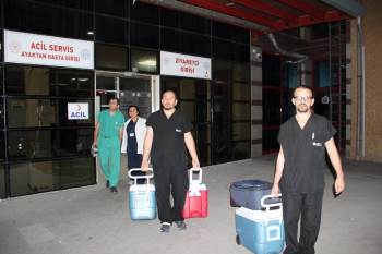 Organları 3 Hastaya Umut Oldu

