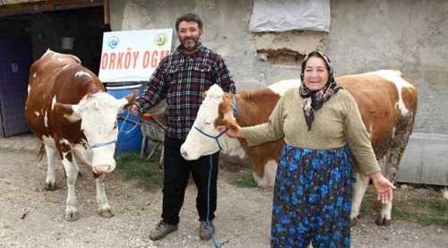 Orköy bereket getirdi