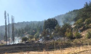 Orman Bölge Müdürlüğü Ekiplerinin Erken Müdahalesi Muhtemel Bir Faciayı Önledi
