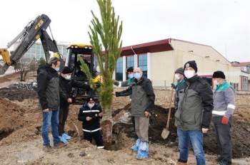 Orman Bölge Müdürlüğünde Çevre Düzenlemesi
