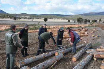 Orman Bölge Müdürü Dingil, “Kaliteli Emval Üretimi Artırılacak”
