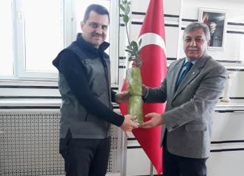 Orman Bölge Müdürü Dündar’Dan Başkan Teke’Ye Ziyaret
