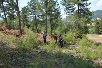 Orman Bölge Müdürü Hasan Keskin, Gediz Ve Şaphane Ormanlarında İncelemelerde Bulundu
