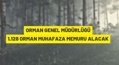 Orman Genel Müdürlüğü 1.128 orman muhafaza memuru alacak