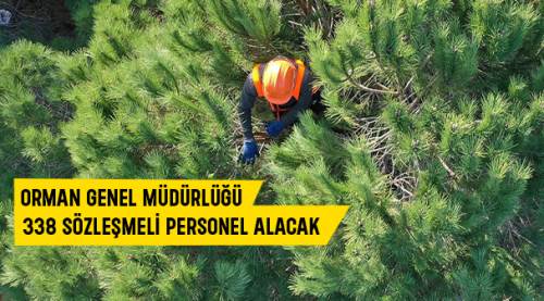 Orman Genel Müdürlüğü 338 Sözleşmeli Personel Alacak