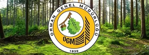 Orman Genel Müdürlüğü personel alımı yapacak! Başvuru tarihleri belli oldu 