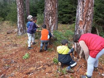 Orman İçerisinde Ders İşliyorlar

