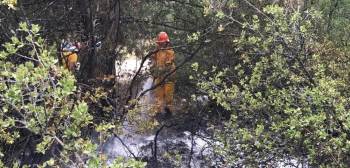 Orman Yangın Büyümeden Söndürüldü
