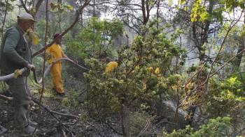 Orman Yangını Büyümeden Söndürüldü

