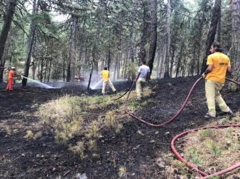 Orman Yangını Büyümeden Söndürüldü
