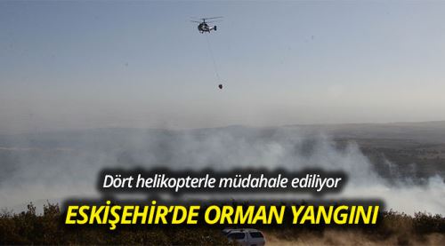 Orman yangını kontrol edilemiyor