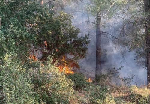 Orman yangını sonucu 1 dekar örtü zarar gördü