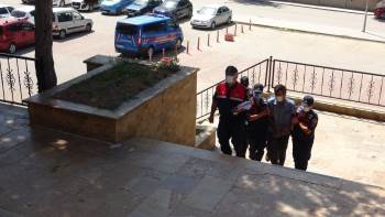 Orman Yangınının Şüphelisi Adli Kontrol Şartıyla Serbest Bırakıldı
