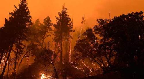 Orman yangınlarında hayati önemde! Eskişehir'de tam 282 tane var...