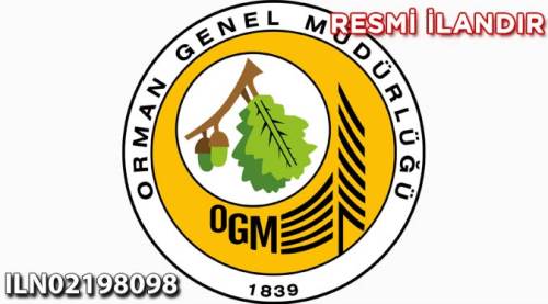 Orman yolları sanat yapıları yapım işi