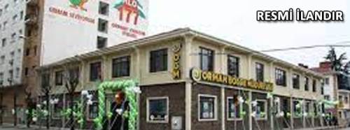 Orman Yolu Sanat Yapısı yapım işi