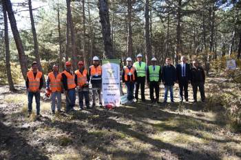 Ormancılık İş Koluna Mesleki Yeterlilik Belgesi Şartı Getirildi