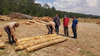 Ormanda İhtiyaca Göre Üretim
