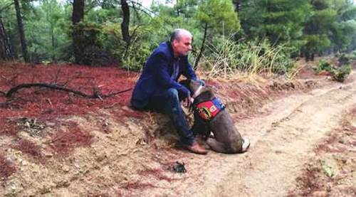 Ormanda kaybolan şube müdürünü iz takip köpeği buldu