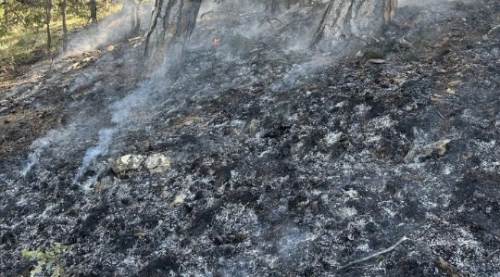  Ormanda yıldırım düşmesi sonucu çıkan yangın söndürüldü!