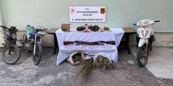 Ormanı Uyuşturucu Tarlasına Çevirmişler
