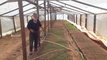 Ormanın Ortasında Doğal Ürünler Yetiştiriyor
