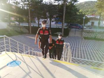 Ormanlık Alanı Esrar Tarlasına Çeviren Şahsı Jandarma Yakaladı
