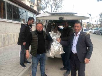 Osmaneli Böğürtlenle Renklenecek, Ekilmedik Alan Kalmayacak
