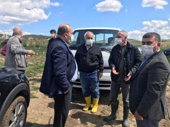 Osmaneli’De 500 Adet Arbequina Cinsi Zeytin Fidanıtoprakla Buluştu
