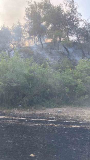 Osmaneli’De Çıkan Orman Yangını Büyümeden Söndürüldü
