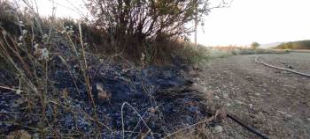 Osmaneli’De Elektrik Tellerine Çarpan Kuş Yangına Neden Oldu
