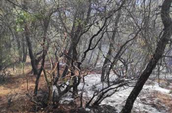 Osmaneli’De Gözetleme Kulesi Yangının Büyümesini Önledi
