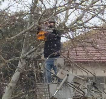 Osmaneli’De Kuşlar İçin Üretilen Yuvalar Ağaçlara Yerleştirildi
