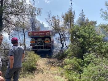 Osmaneli’De Orman Yangını
