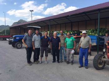 Osmaneli Karpuzu Zincir Marketlere Satılıyor
