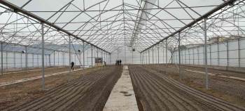 Osmaneli’Nde “Sera Tesisi” Projesi Tamamlandı
