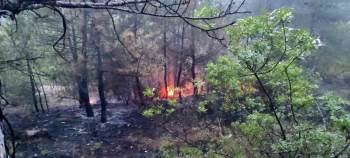 Osmaneli’Nde Çıkan Orman Yangını Kontrol Altına Alındı
